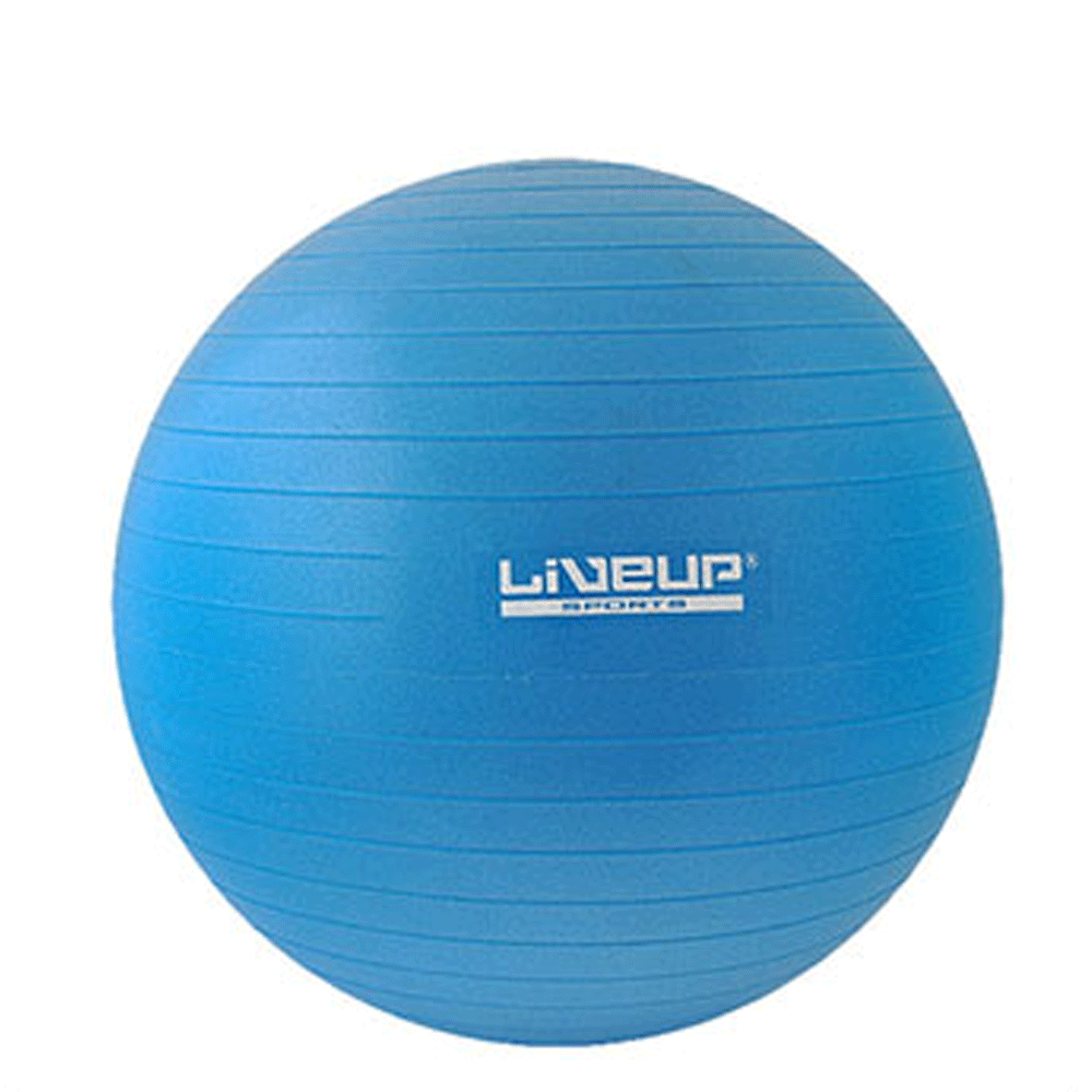 LIVEUP 55CM ANTI BURST SWISS EXERCISE YOGA BALL WITH FREE PUMP 800G
