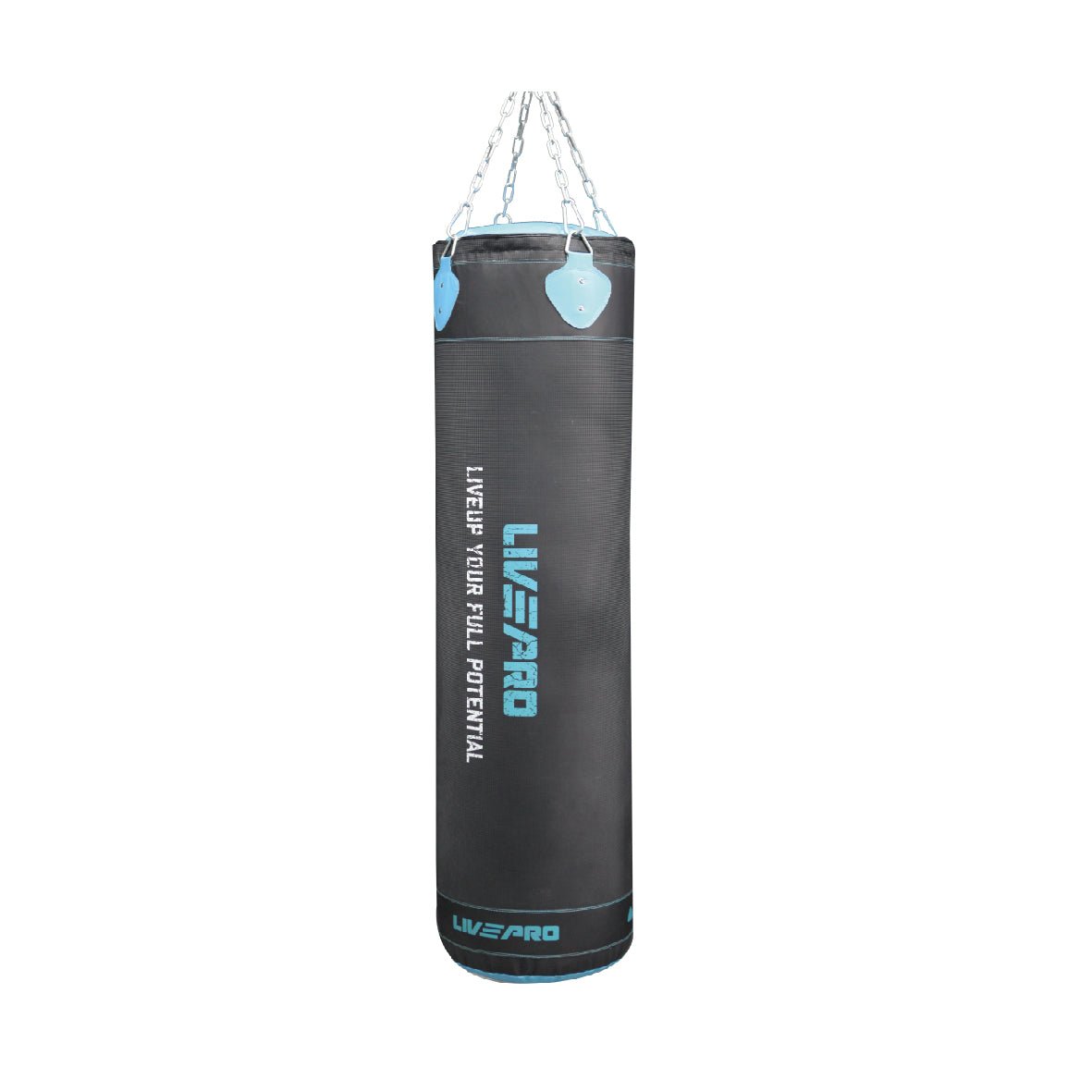 BOXING PUNCHING BAG PROFESSIONAL LIVEPRO 45KG - LP8602 image 2