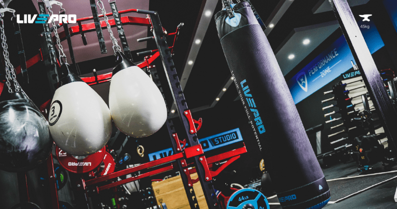 BOXING PUNCHING BAG PROFESSIONAL LIVEPRO 45KG - LP8602