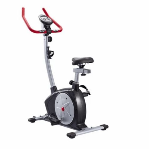 WNQ Fashion Upright Bike